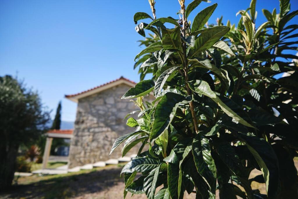 Quinta Do Sol - Holiday Home In Geres Arcos de Valdevez Exterior photo